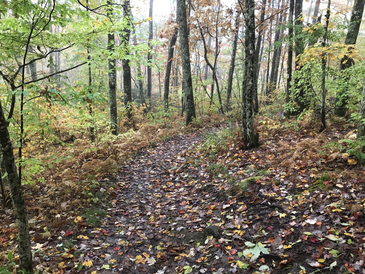 John_Cosper's tweet photo. It’s been a long time coming, but Cynthia and I finally made it to the #appalachiantrail. We didn’t stay long enough, old girl, but rest assured we’ll be back. #ATtrail #outdoors #nature #photography #hikingadventures https://t.co/4OnWejNaAH