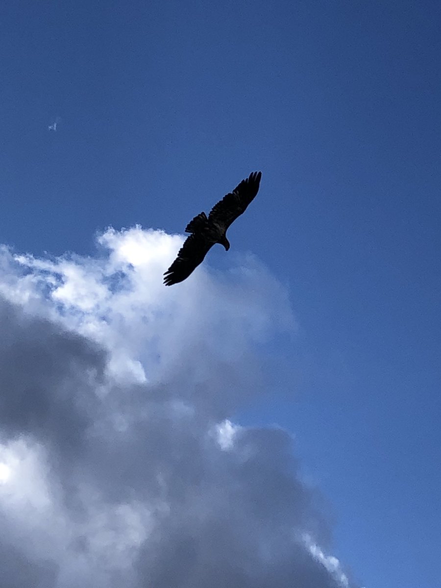 Nature hike with family and spotted two eagles soaring close by. Special moments with special people- so much to be thankful for. #grateful