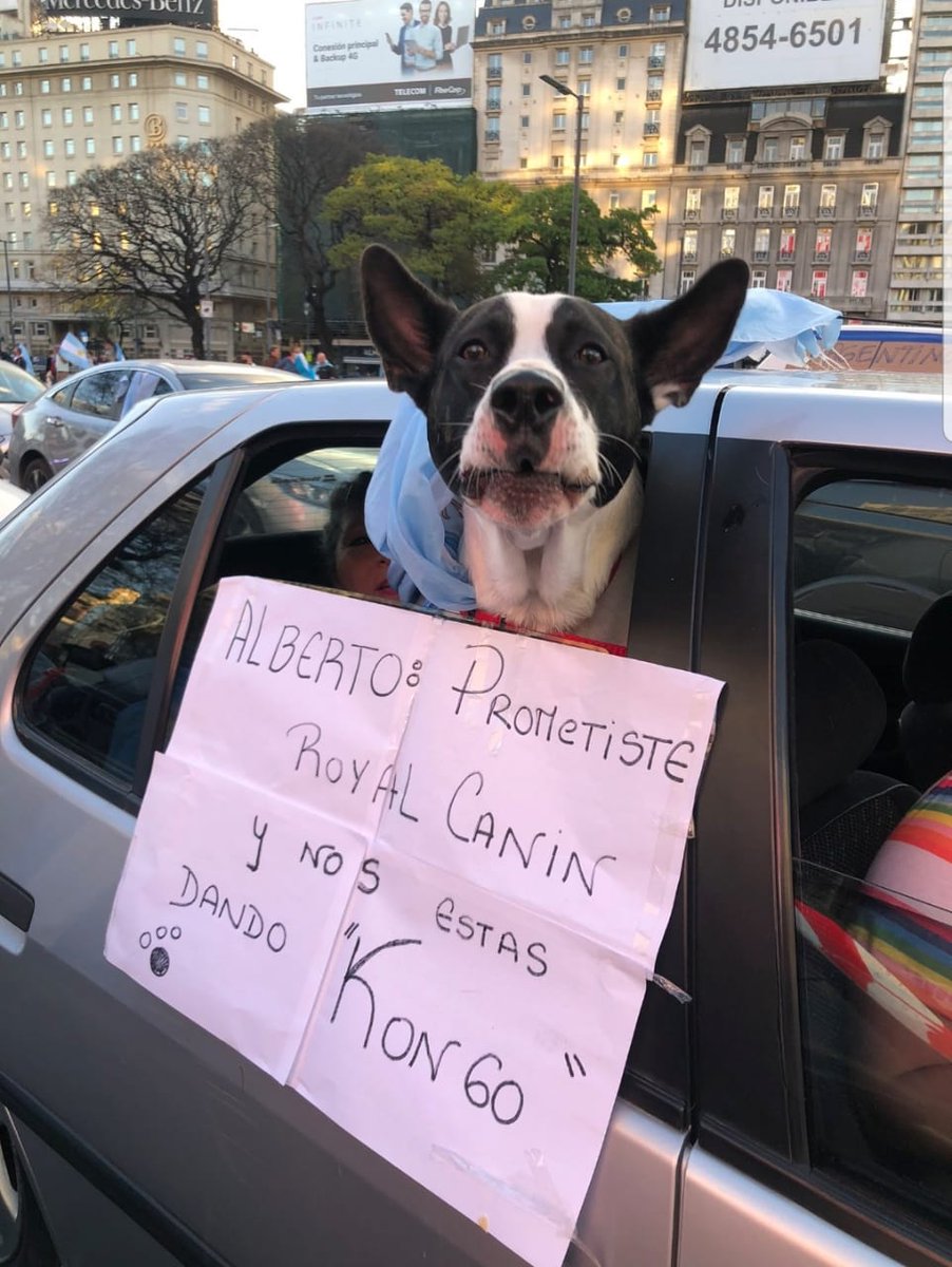 Yusi De La Vega tweet media