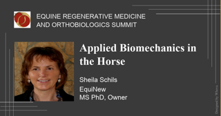 EquiNew's tweet photo. The Equine Regenerative Medicine &amp; Orthobiologics Summit is going on now! Don't miss the talk on "The Applied Biomechanics in the Horse" on Tues., Oct. 13 at 11:30am central. Register here, https://t.co/WDbBGGDmFR https://t.co/CKmQ4YEW1D