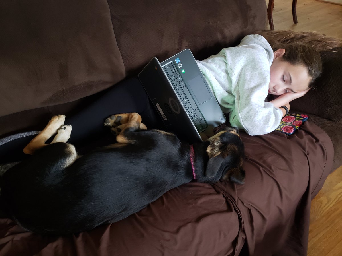 Homework over the weekend lead to a nap....
#HTSDHASSPIRIT