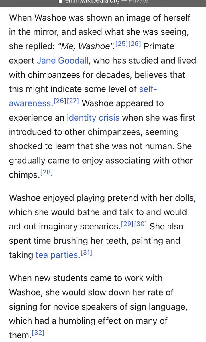 16. Washoe the Chimp - 15/10- first animal to speak ASL- recognised herself in a mirror - had identity crisis when found out she wasn’t human (depersonalisation queen)- liked to paint & play with dolls- showed empathy to keeper experiencing miscarriage signing “sad” & “cry”