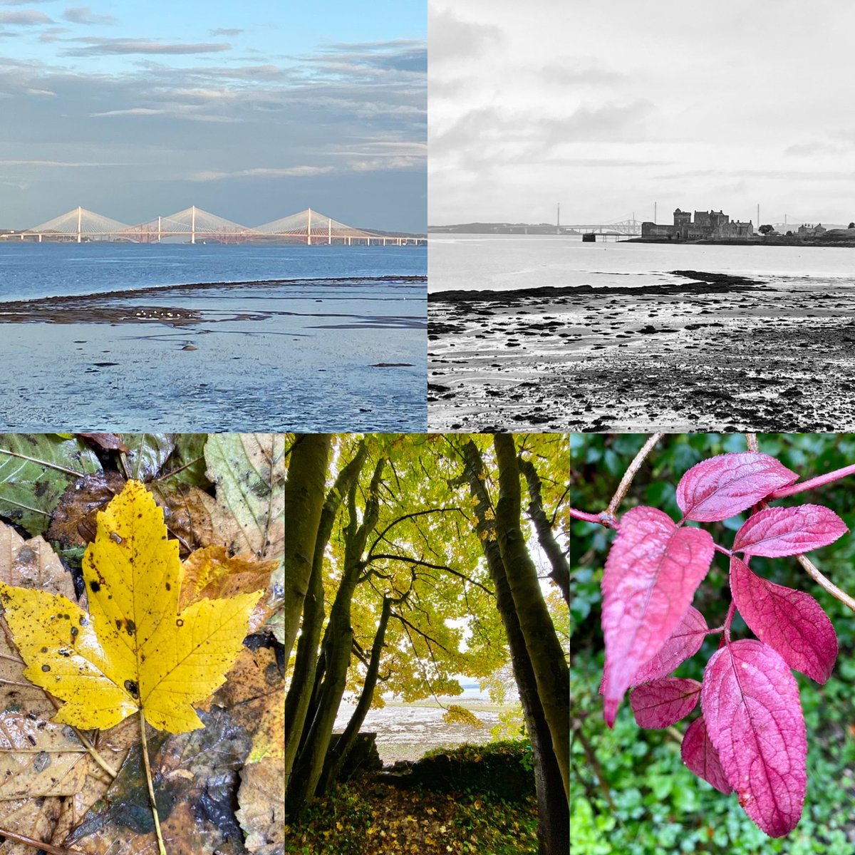 7.5 mile autumnal walk from Blackness to Bo’ness - enjoying family time at half term

#threebridges #blacknesscastle #Scotland
