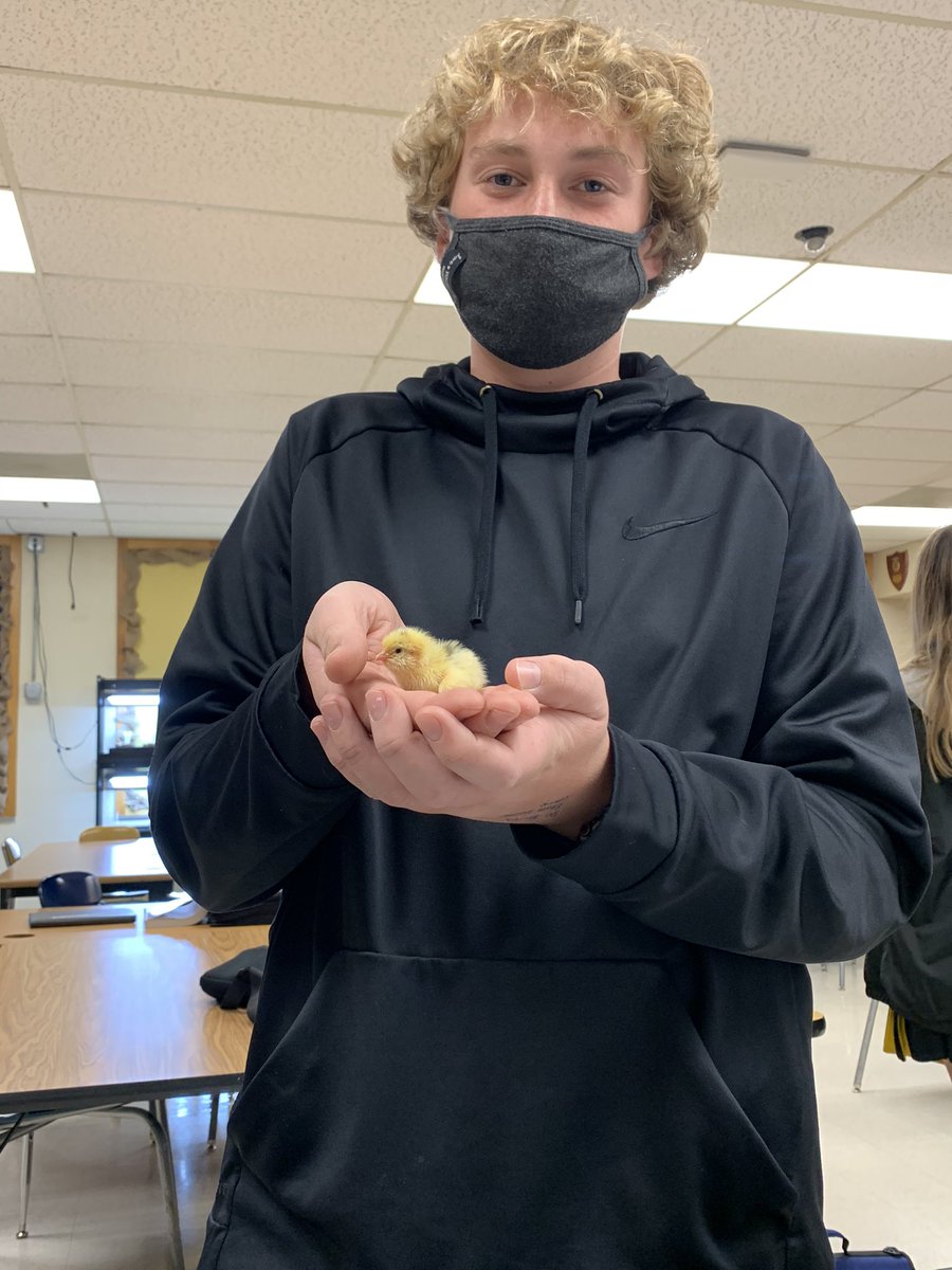 eburg_ffa's tweet photo. Join Josie in checking out what’s growing in the ag room! https://t.co/cehk9Q4TZe