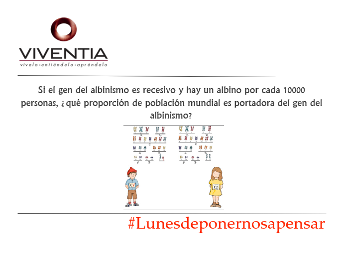 VIVENTIA tweet media