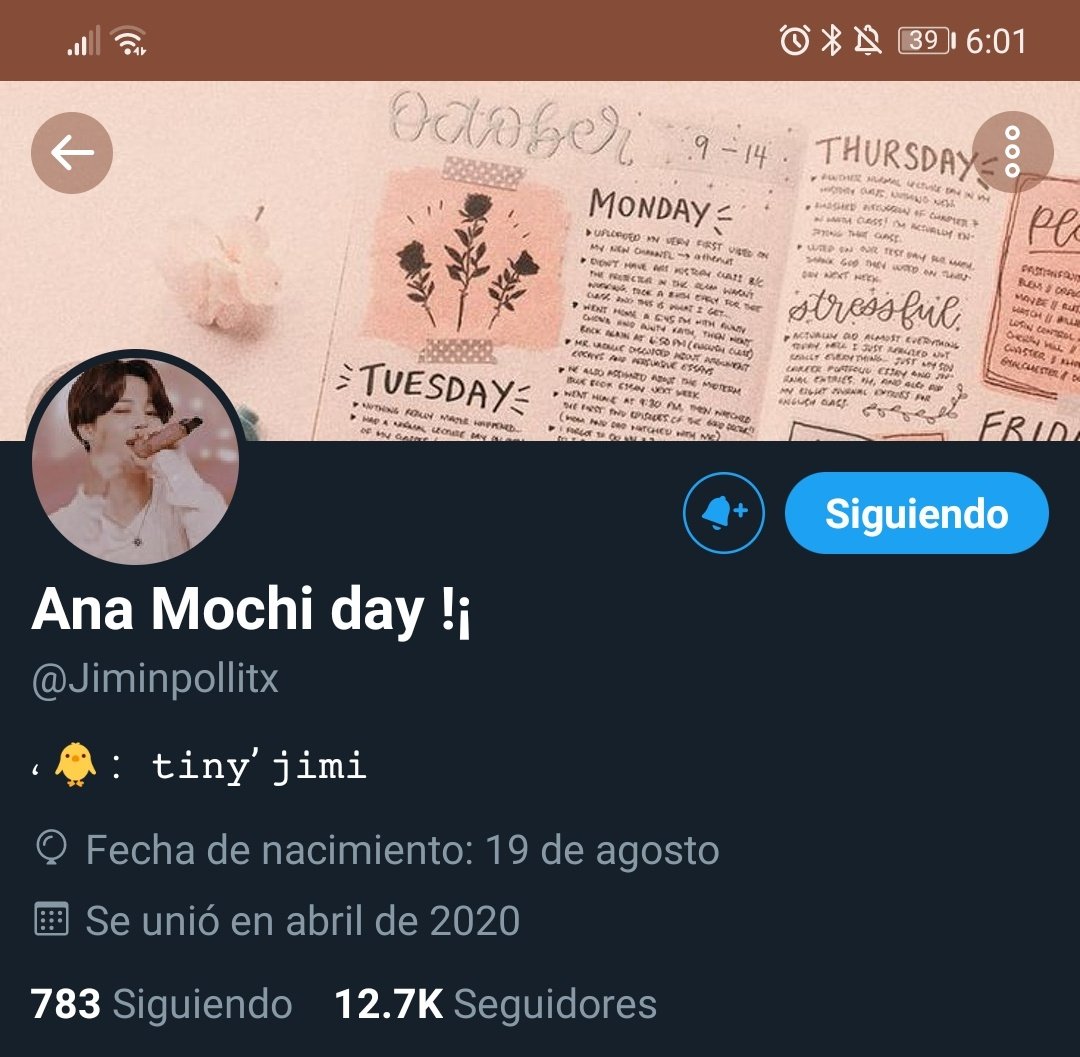 Vera Nats tweet media