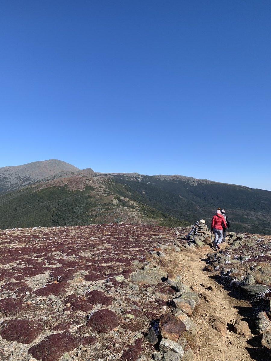 RB (@rgbboston) on Twitter photo 