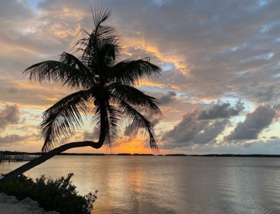 NWSKeyWest's tweet photo. A lovely sunset in #WindleyKey!

Tonight's #FloridaKeys forecast:
🌴Partly cloudy with a slight chance of showers and thunderstorms early
🌴Lows in the upper 70s to near 80
🌴North winds 5-10 mph
🌴20% chance of rain
📸: Jeff Hartzog

Have a great week!

#flwx #KeyWest #FLKeys https://t.co/xbKn0NtYlQ