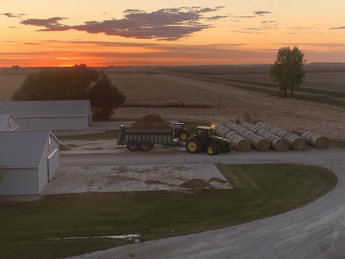 NeufeldCurt's tweet image. Praise Jesus for this amazing fall and growing season! Lots to be thankful for! #HappyThanksgiving2020  #Canadianchickenandgrainfarmer