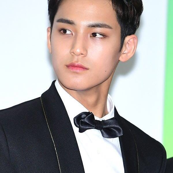 Mingyu is undoubtedly one of the most stunning visuals in K-Pop.However, he has received several comments regarding his skin tone that have made him feel insecure about his appearance. becuase of his Tan or Dark Skin Color..