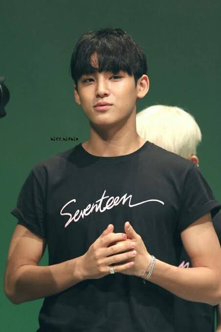 Mingyu is undoubtedly one of the most stunning visuals in K-Pop.However, he has received several comments regarding his skin tone that have made him feel insecure about his appearance. becuase of his Tan or Dark Skin Color..