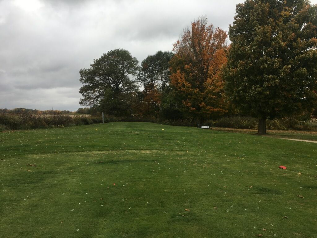 We strive to continuously develop and manufacture formulas to meet the high demands of turfgrass managers. The latest is Dark Venom 3-0-5 Fe. Below is the before and 3 weeks after results with rates as low as a half gallon per acre.