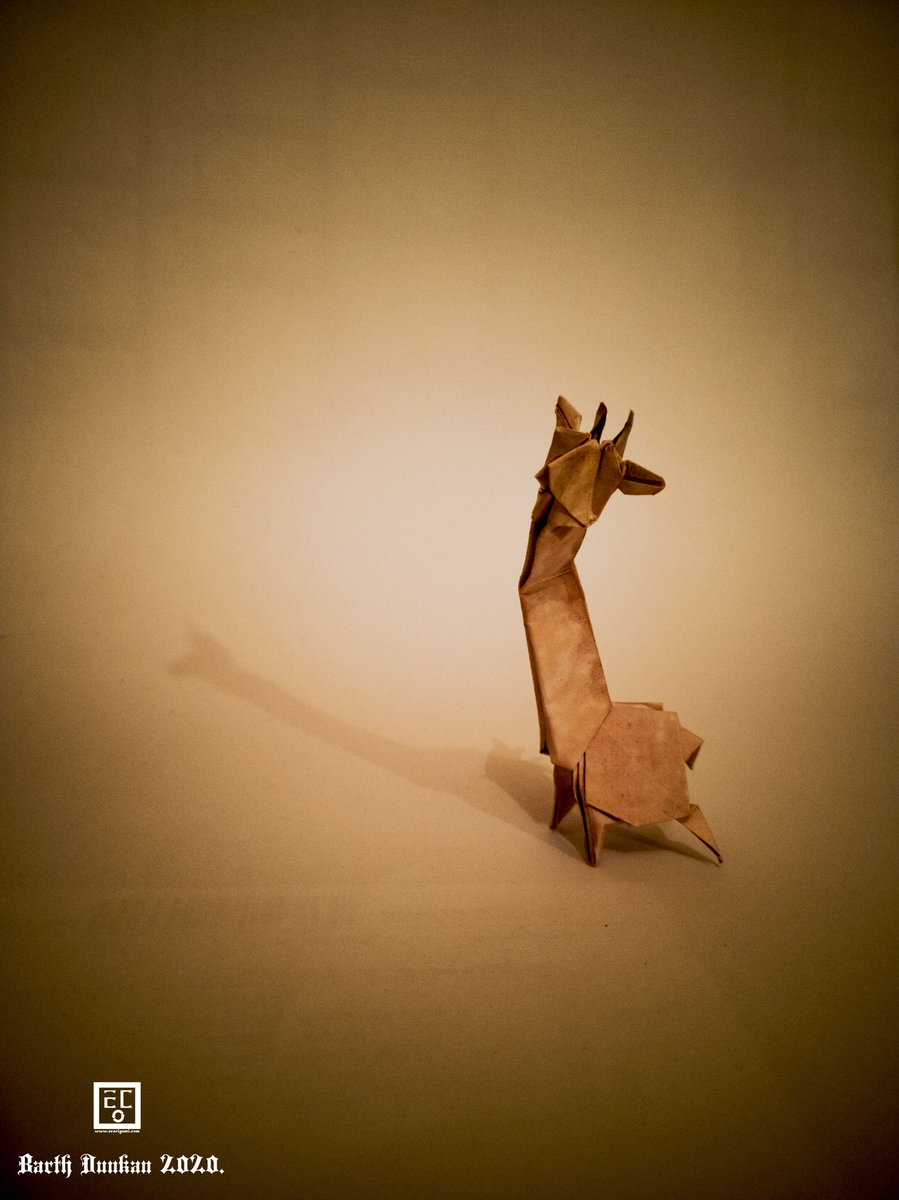 BarthDunkan's tweet photo. A5 Girafe - Barth Dunkan.
Simple Girafe stylisés et pliés à partir d'un rectangle A5.
Simple Giraffe designed and folded from a rectangle A5.
#barthdunkan #giraffe #origamigiraffe #origami #paperart #mfpp #ecorigami #africa #art #origamianimal #gerstaecker #graphigro https://t.co/0x08oWMiQU