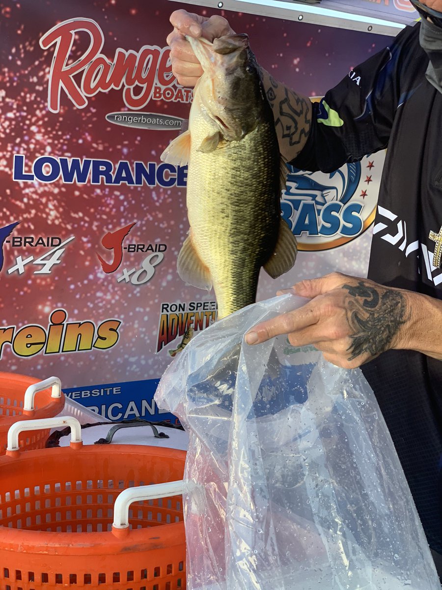 Get some fall bass <a href="/DVmarina/">DiamondValleyMarina</a> #fishingcalifornia #socalsurffishing #fishingjigs #fishingdaily #fishinglifestyle #outdoorstuff #fishermanslife #fishstories #fishlife #califishing #fishhard #bassfishingnation #bassfishin #lurecasting #fishinglure #lurefishingclub #beachfishing #fish