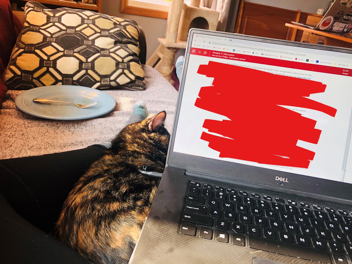 emilyemixon's tweet photo. Today during a #dayofscience I did the following:
(1) went to lab meeting and discussed our new #triplequad #masspec in #uwisotopelab
(2) prepared a #GEO100 lecture on volcano geochemistry
(3) attended a faculty meeting as a student rep
(4) petted cats
#ScienceAThon #phdlife https://t.co/XrVeYRieXI