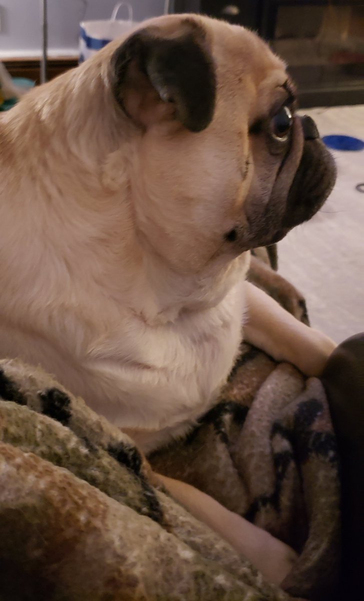 SarahPug12's tweet image. #MondayMood #CloudyNight #Cool