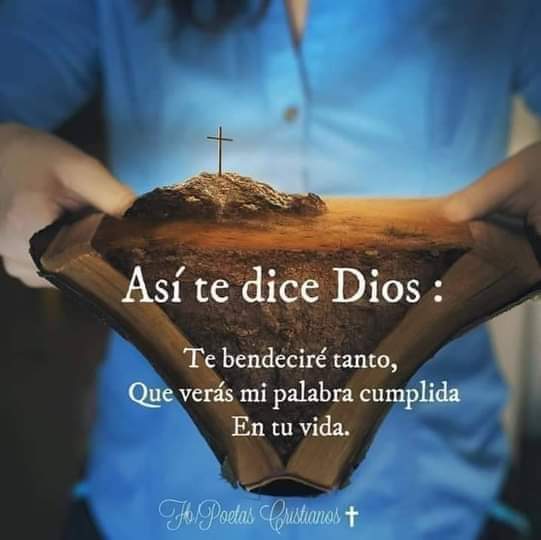 Chermer Rijo (@chermerrijo) on Twitter photo 