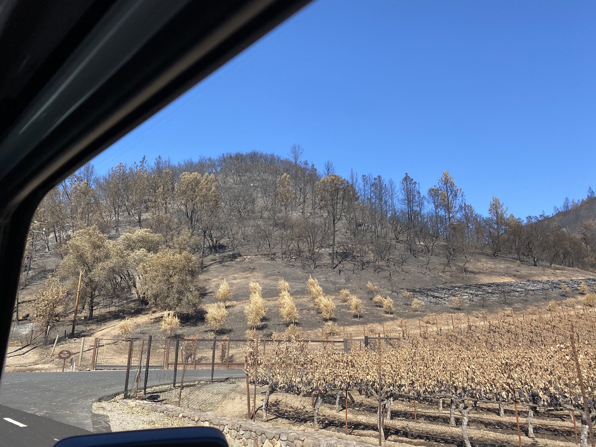 This was the first time I could get a drive in through the #GlassFire area due to road closures and evacuation orders finally getting lifted - some homes burned to the ground, vineyards burned, whole sides of the hills burned - it’s so sad and devastating