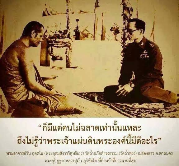 วุ่นวายเป็นปกติ tweet media