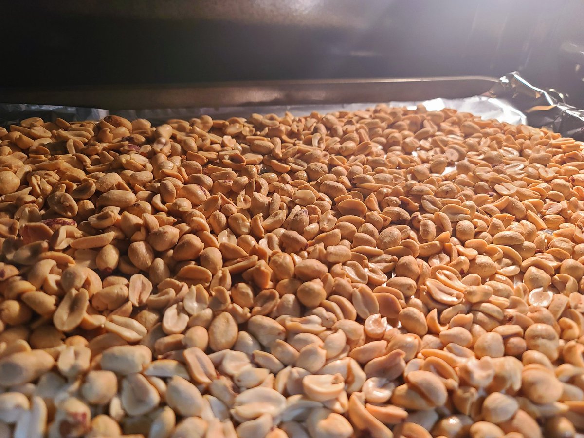 Chef_Stoneback's tweet photo. Making fresh peanut butter and starting some bread :) tomorrow im making persimmon jam!! 🤤 https://t.co/YkRgaLU1Ho