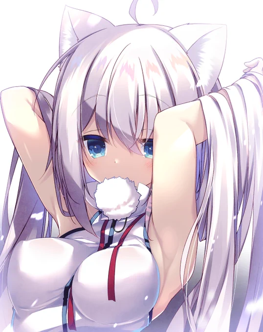 #画像を4枚晒したらrtがきてフォロワーがぶわーって増えると聞いて 
