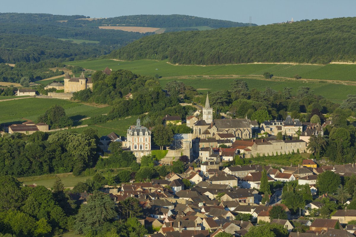 Vins de Bourgogne tweet media