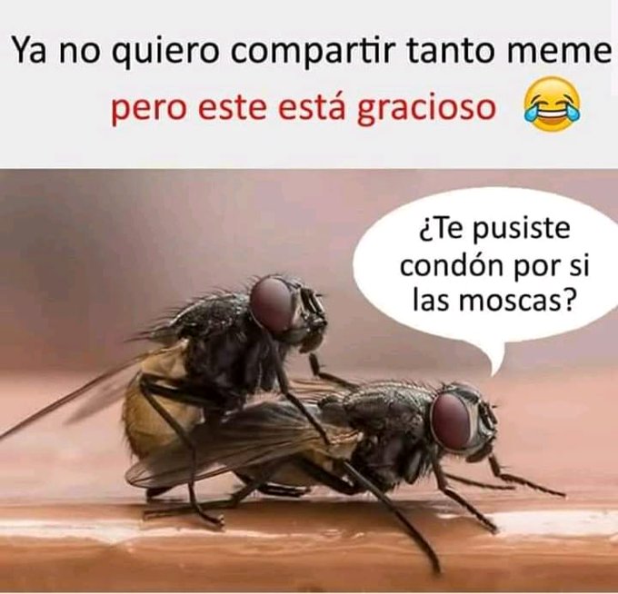 #13Octubre #flacox #sexmex #chaturbate #webcam #latino https://t.co/hIucqMLrW4<a href="/tag/13octubre"class="tags">#13Octubre</a><a href="/tag/flacox"class="tags">#flacox</a><a href="/tag/sexmex"class="tags">#sexmex</a><a href="/tag/chaturbate"class="tags">#chaturbate</a><a href="/tag/webcam"class="tags">#webcam</a><a href="/tag/latino"class="tags"><span>#latino</span></a>