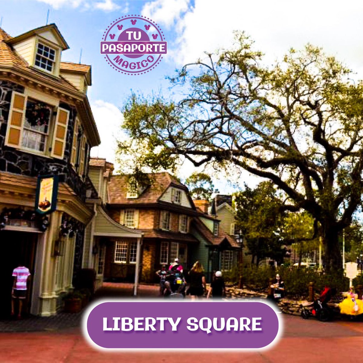 TuPasaporteMag's tweet photo. Queres conocer la Historia del Árbol #LibertyOakTree en #LibertSquare en Magic Kingdom? 
Te invitamos a leer esta Historia imperdible haciendo click aqui⤵️
https://t.co/qRxoEIskKl

#magickingdom #tupasaportemagico #magicholidaystravelagency #Travel #Disney #Viajeros #disneytips https://t.co/b3Rox6kU2J