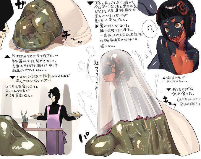 イロちゃん観察日記⑦
だいぶ間が空いてしまったので描き方をちょっと変えました 