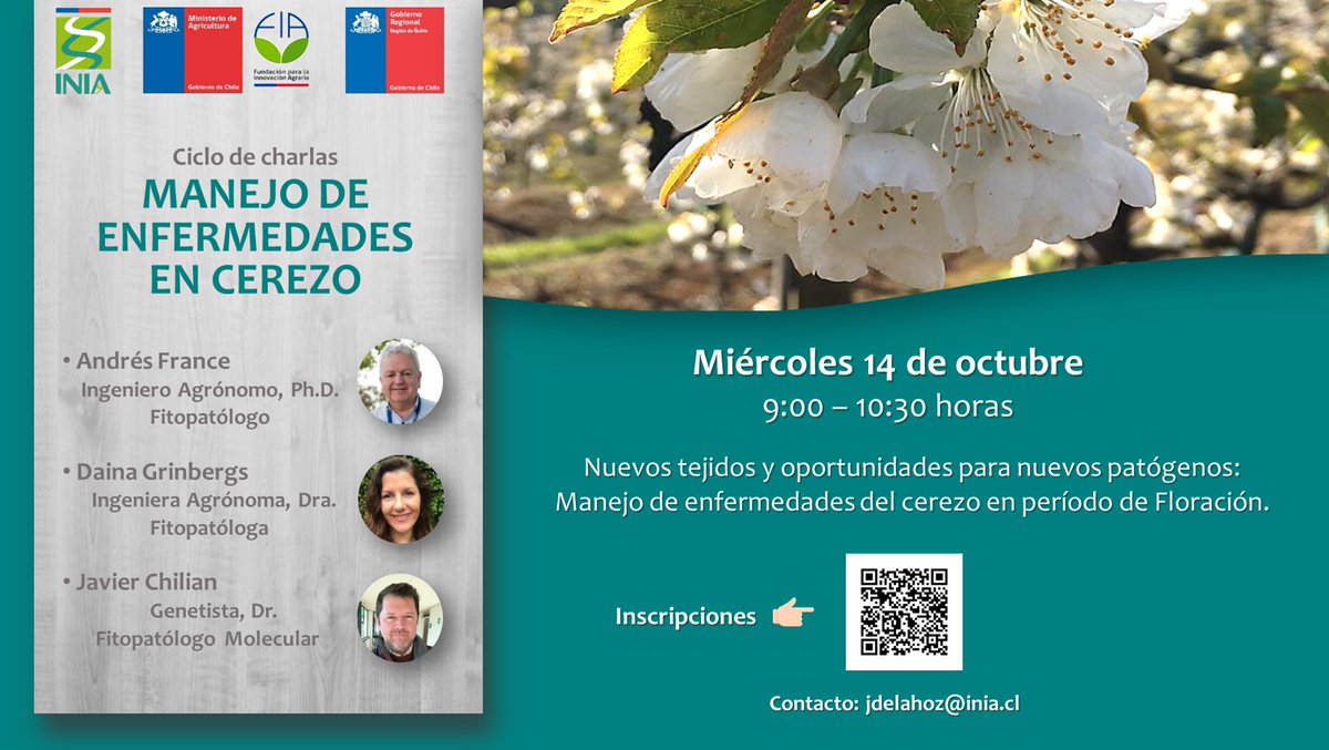 Continuando con nuestro ciclo de seminarios de Manejo de Enfermedades de Cerezo🍒, los invitamos a la charla "Manejo de enfermedades de Cerezo en Floración", miércoles 14 a las 9:00. Inscripciones en 👇docs.google.com/forms/d/e/1FAI…