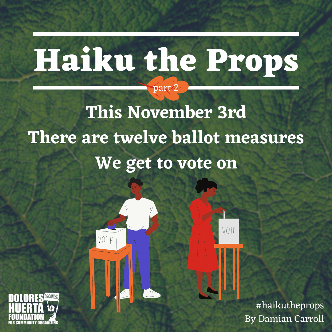 DoloresHuertaFD's tweet photo. Make an educated #vote this November. Visit the link in our bio or https://t.co/qdghXzef1V for the official Dolores Huerta Foundation #VoterGuide. Thank you, Damian Carroll for breaking it down for us in #haikutheprops. #CountVoteWin #VoteForOurLives #VoteWithDHF #SiSePuede https://t.co/jv4S5643RE