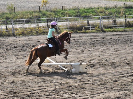 InversionFreed's tweet image. From peein in trailers to jumpin in shows, she’s my mini