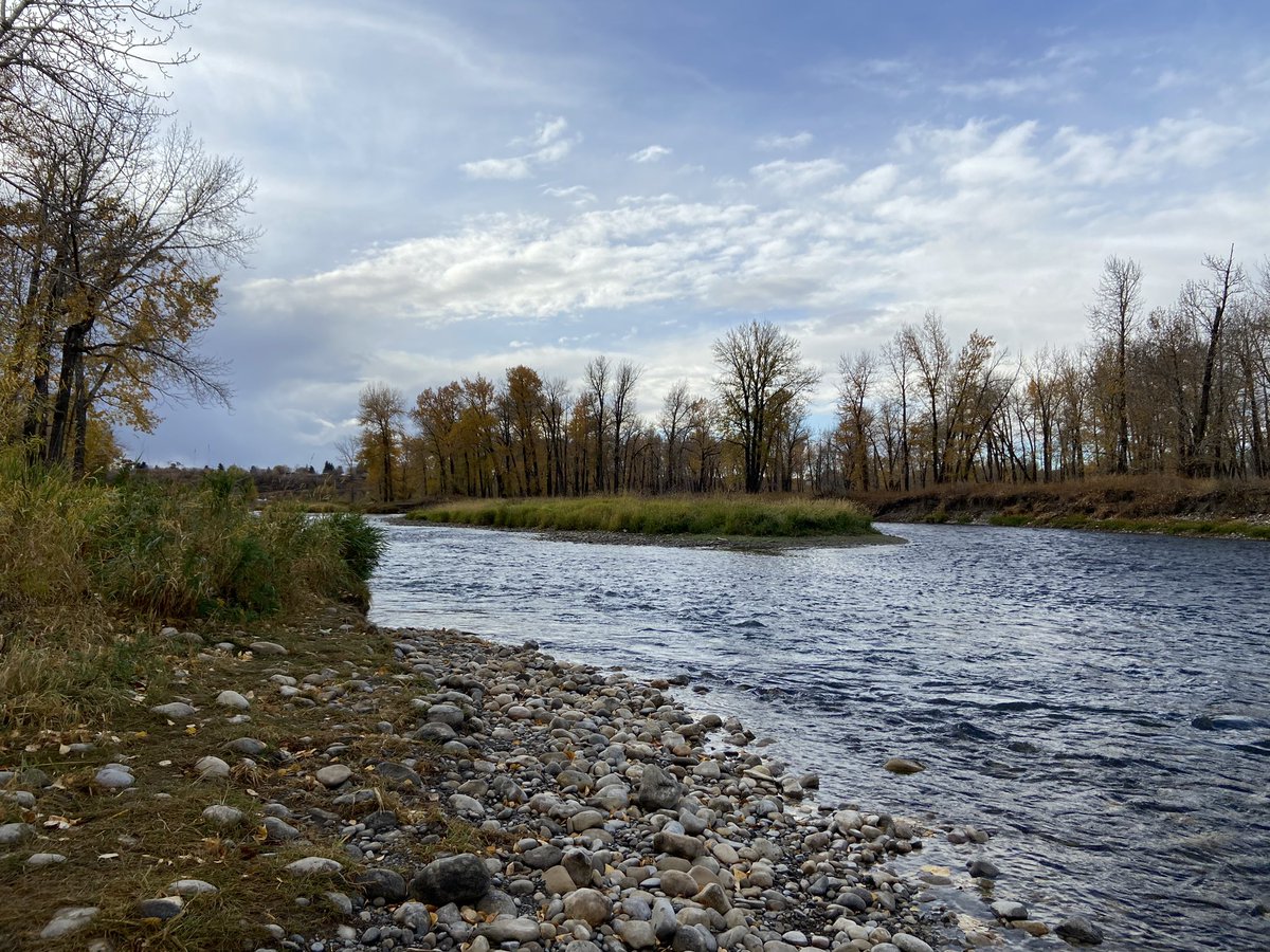 kourtpenner's tweet photo. Today we (finally) found blue sky, leaves to run through, and a beautiful river to throw rocks in. So thankful to live in this city with an abundance of nature and a great off-leash dog parks to roam. Also, my tiniest human takes a great photo! @SueHigginsDogs https://t.co/Sv0cCHmfhL