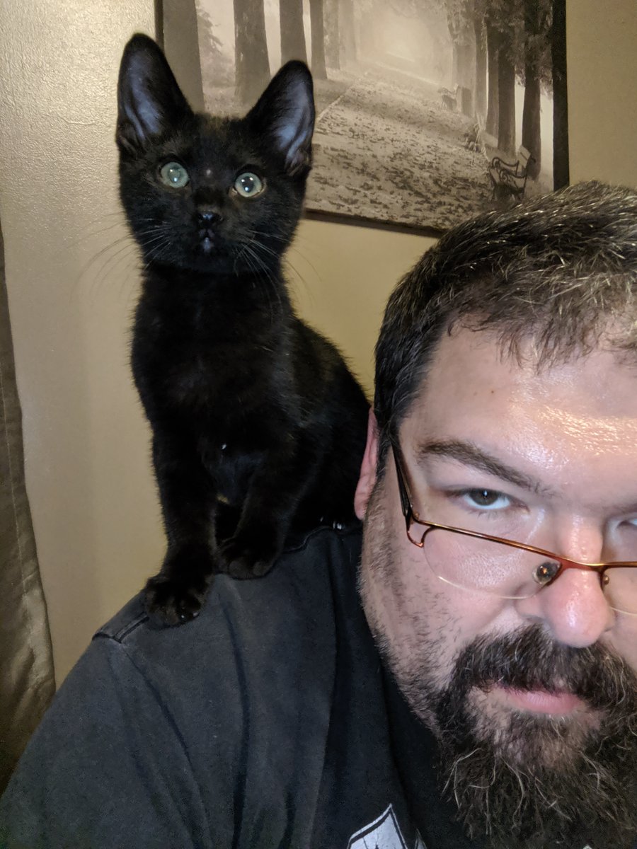 Coco needed a friend, so we adopted Kuro. From a shelter this time. This is maybe the worst picture I have ever taken of me, and the best picture I have ever taken of Kuro.