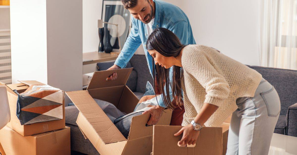 DelicateMoving tweet media