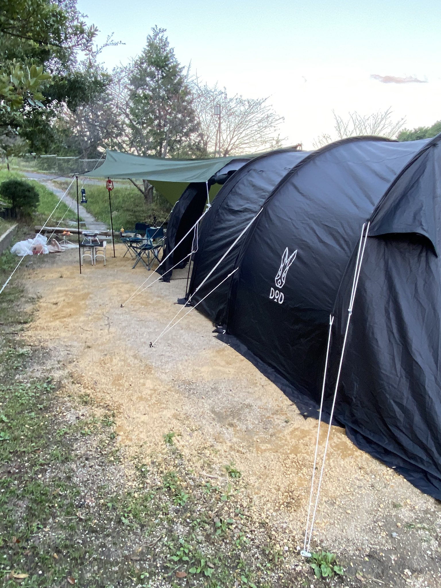 いつかのタープ DOD ブラック DODワンポールテントM（ブラック） DOD