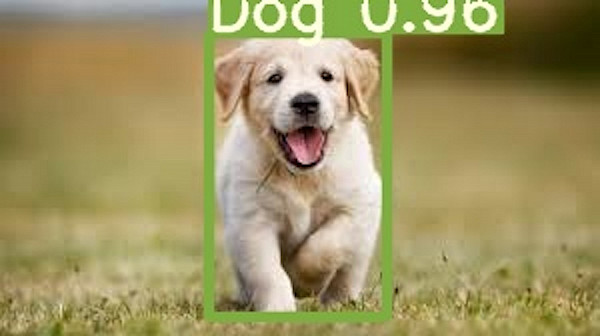 Websystemer's tweet image. A journey with YOLOv5 - websystemer.no/a-journey-with…

 #customdataset #datascience #machinelearning #objectdetection #yolov5