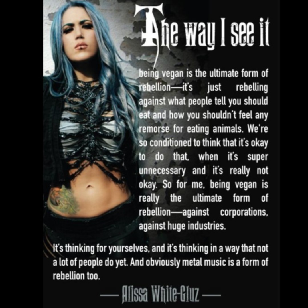 defmetalvegans's tweet image. #GoVegan #veganism #veganmetal #vegan