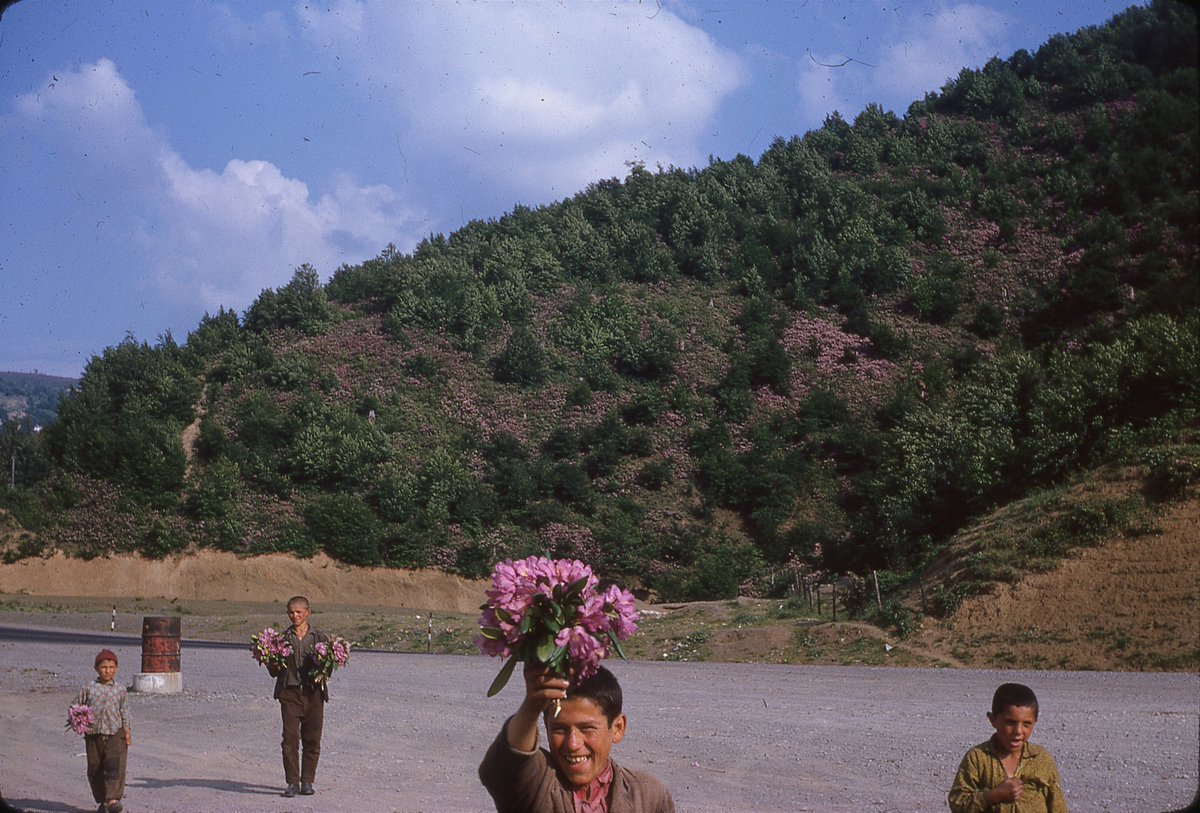 Turkey, 1966 or earlier. Unknown location.A fave of mine and with that iyi geceler!