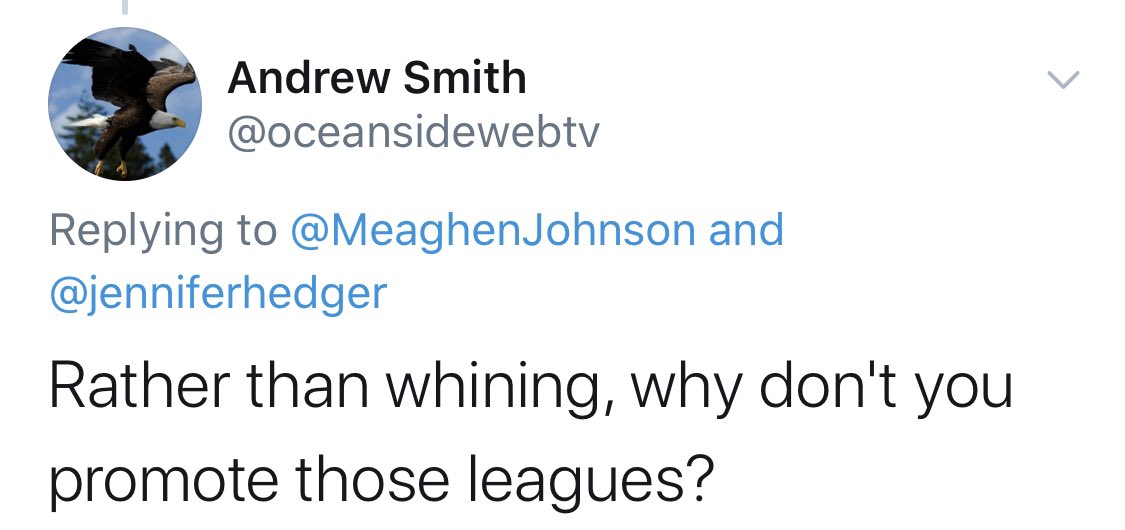 MeaghenJohnson's tweet photo. ...... I literally write about women’s soccer. All the time. https://t.co/2wVEglI9JJ