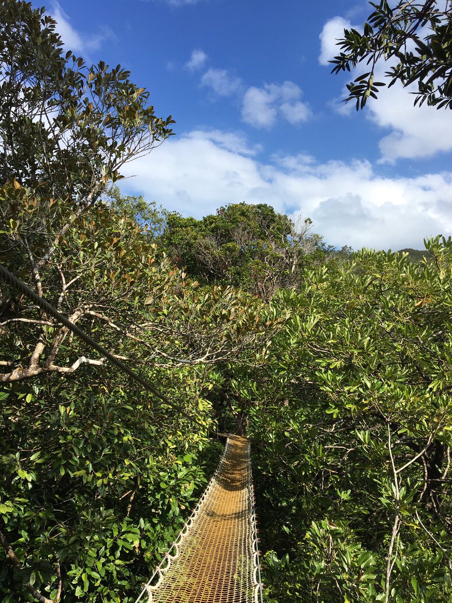 Buenos Viajes tweet media