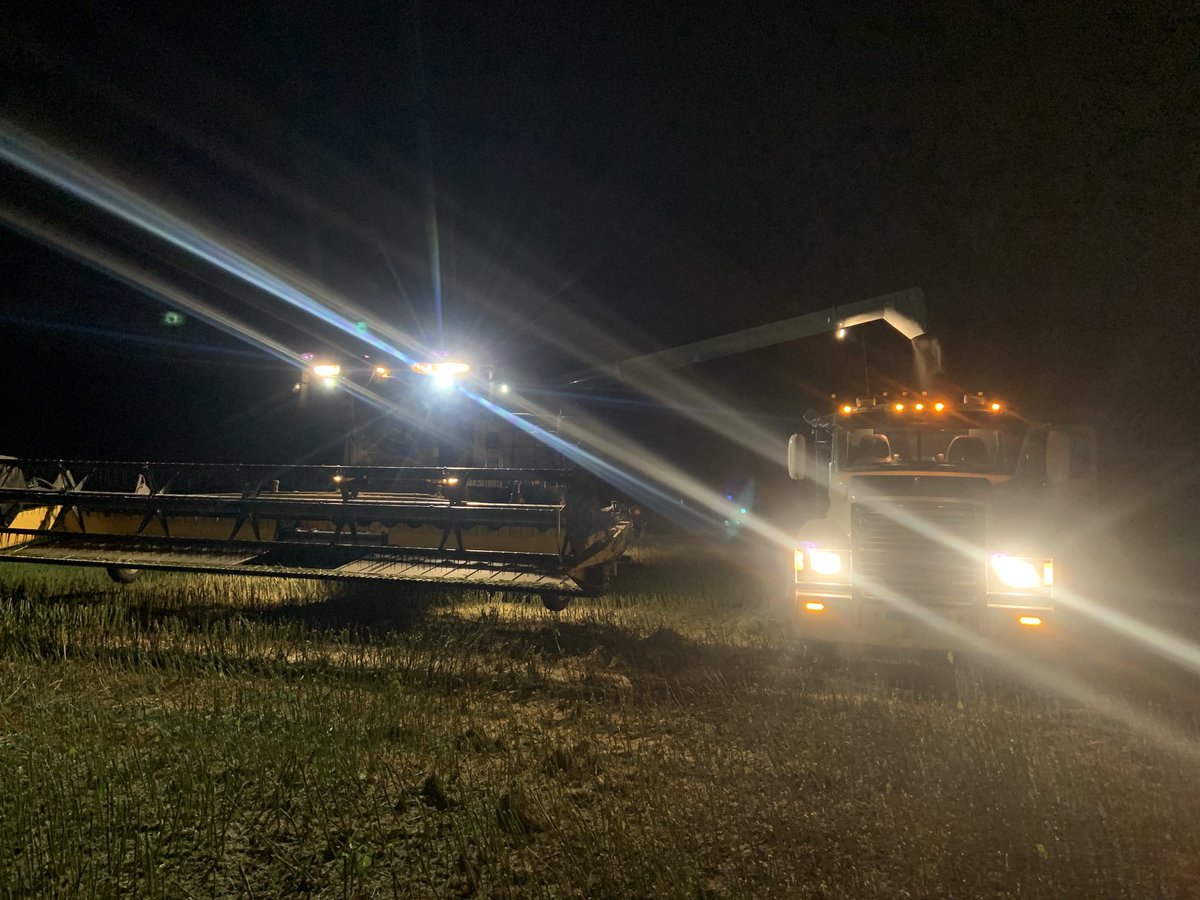 Benedictbeef's tweet photo. Done for 2020 thanks to ⁦@GlenKummer⁩ for the pic and taking over the trucking while ⁦@katlyn_benedict⁩ and I picked bales https://t.co/pos1XJgPXV