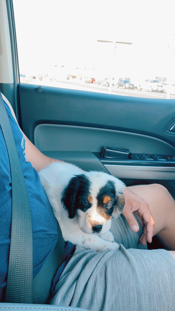 Since Instagram already got to see them, Twitter, meet my new babies 🥰