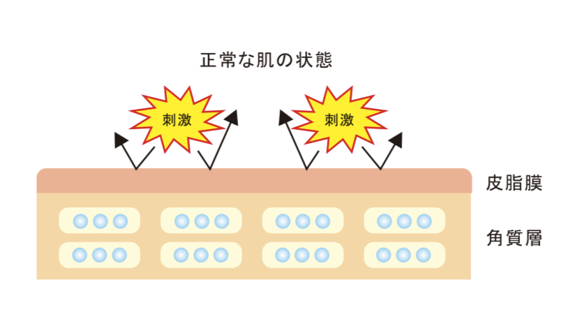 REGO34's tweet photo. 敏感肌という言葉があります。https://t.co/kgwwkOKhdb 
RT＠kamegamori/きょうの毛髪科学120422/ 肌は乾燥に数日さらすと敏感になる？　①敏感になる、②鈍感になる、③変わらない。。。　#hairscience https://t.co/8XNLmG187u