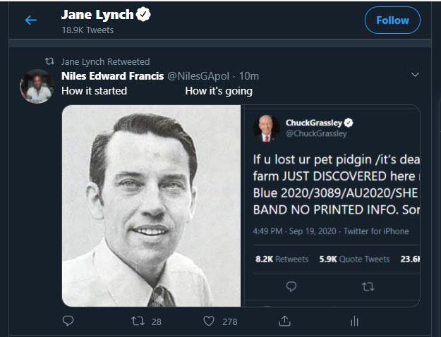 JusticeNow62's tweet photo. @gaslightingus2 @ChuckGrassley @Twitter https://t.co/3Z84xO91fg
