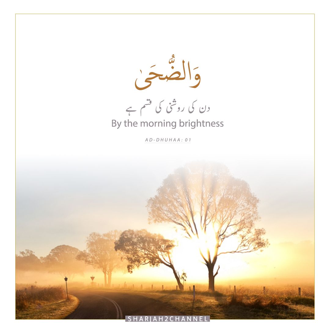 Guidance, No Fear, No Grief Meaning (Surah Al-Baqarah 2:38) - The Promise  of Peace | Quran Gallery, image size:1080x1080