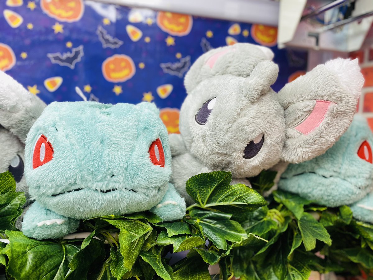 ドラマ下北沢 プライズ専門店 Pa Twitter フシギダネ チラーミィ ふわふわ素材ぬいぐるみ 本日入荷 ポケモン ポケモンgo フシギダネ チラーミィ 下北沢 ゲーセン プライズ バンプレスト