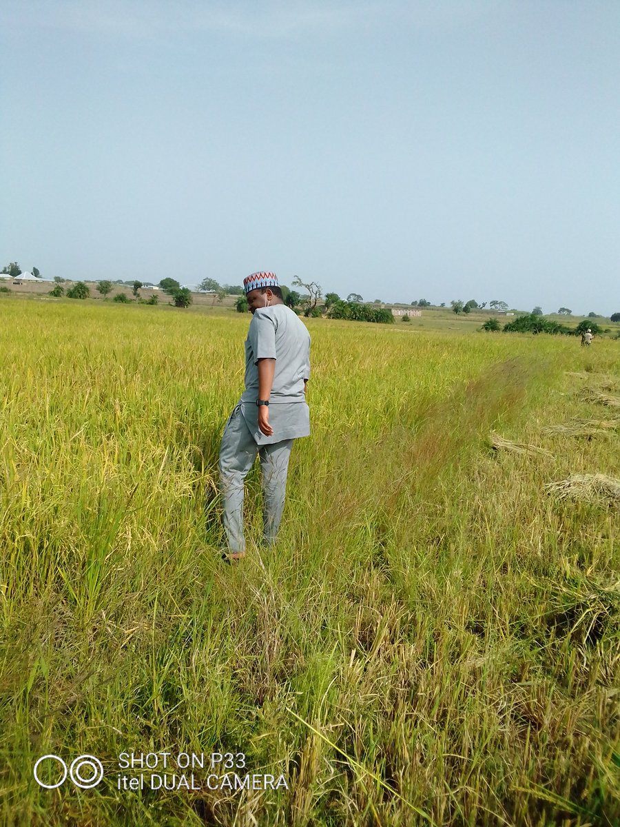 Abdul_Majid84's tweet photo. Corona almost made it impossible. Alhamdulillah for everything. 🙏 #Farm2020 https://t.co/2KpCVq6O2q