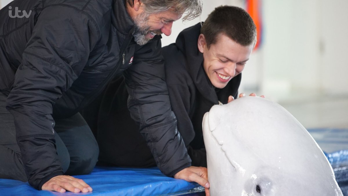 ITV's tweet photo. The conclusion of a truly epic and emotional journey. Little Grey &amp; Little White are heading for the wild! 🐳

John Bishop’s Great Whale Rescue tonight 9pm on ITV and @ITVHub 👉 https://t.co/FdQgLcGMVg

@JohnBishop100 #WhaleRescue https://t.co/DOPk6N9WFr