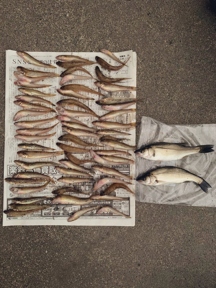 釣侍 釣侍
